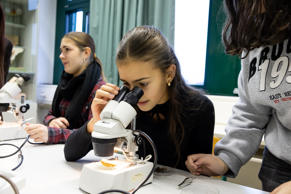 015_SZE_Infotag_2025_26