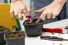 013_SZE_Infotag_2025_26