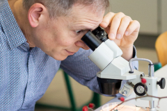 016_SZE_Infotag_2025_26