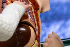 017_SZE_Infotag_2025_26