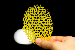 035_SZE_Infotag_2025_26