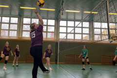 2024_volleyball-1