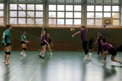 2024_volleyball-4