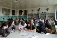 25-1DS-Spurensuche-9