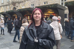 11_25_1SFB-Wien-5