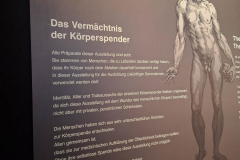 25_koerperwelten-1