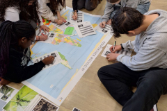 25_ws-baumwolle-1DS-2