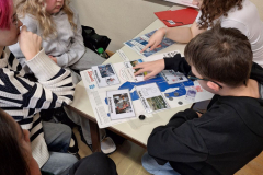 25_ws-baumwolle-1DS-3