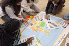 25_ws-baumwolle-1DS-4