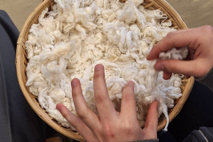 25_ws-baumwolle-1DS-7