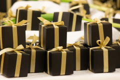 Neujahrsempfang_2025-36