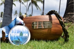 11_ironman_wm_hawaii_2017_3